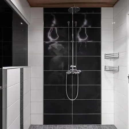 Stone 2 * רובניימי